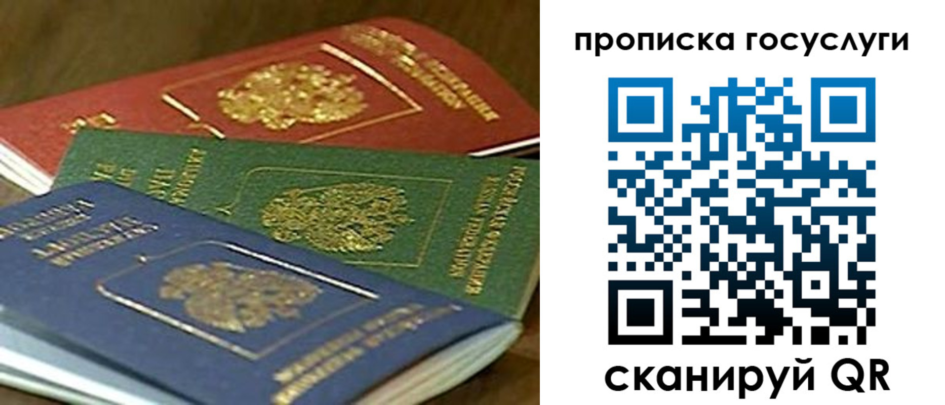 прописка гарантия в Губахе